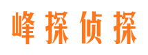 阳山婚外情调查取证